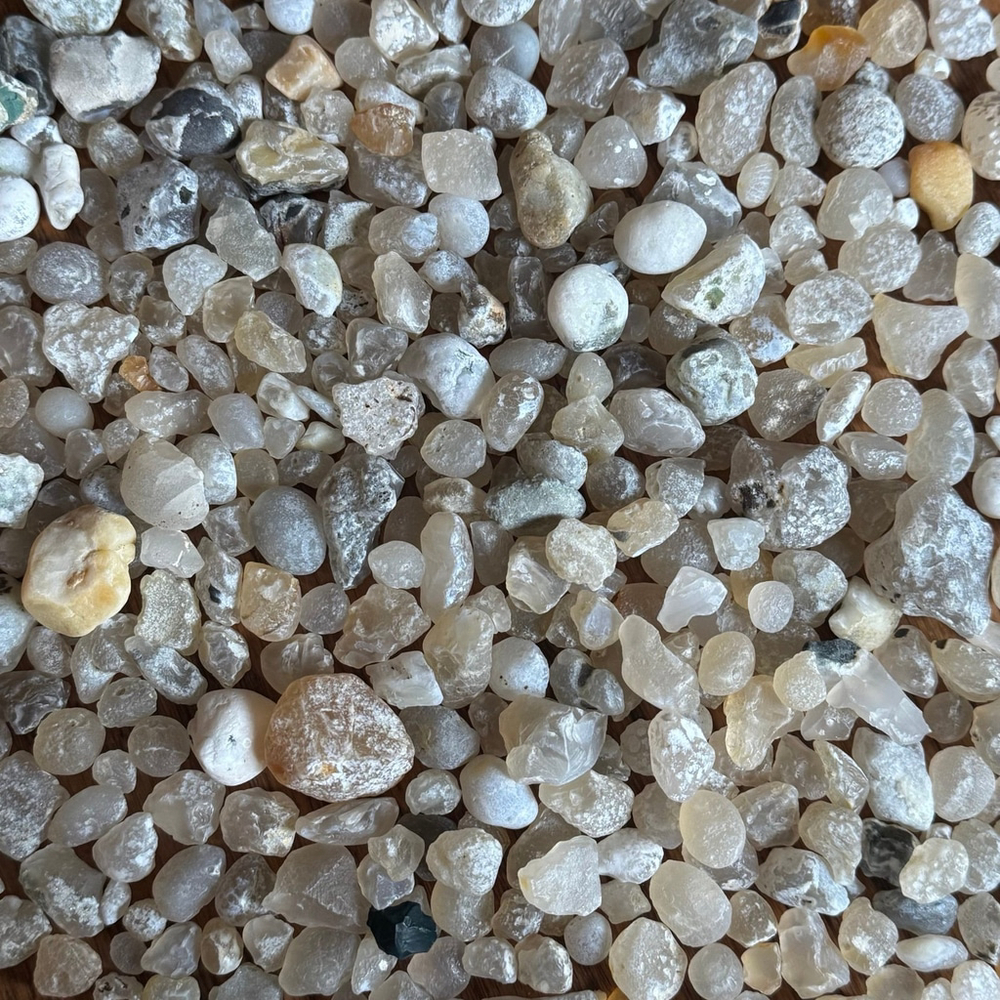 1 pound Oregon Coast Agates